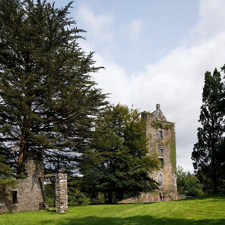 コーク Dripsey Castle Estateヴィラ エクステリア 写真