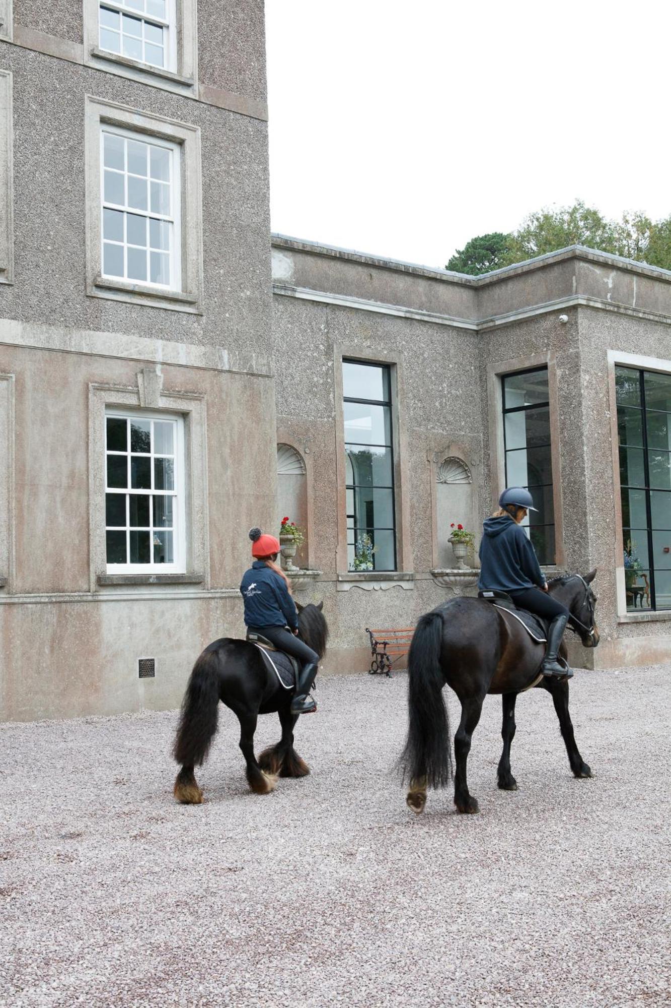 コーク Dripsey Castle Estateヴィラ エクステリア 写真