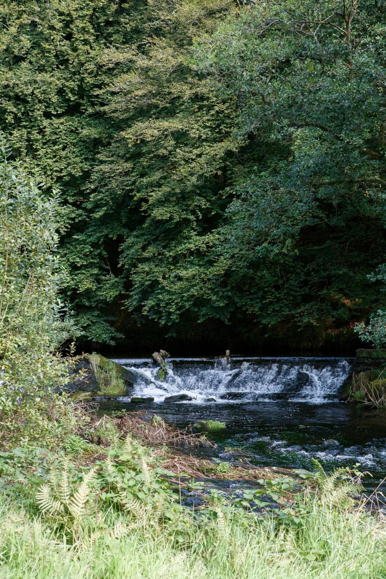 コーク Dripsey Castle Estateヴィラ エクステリア 写真