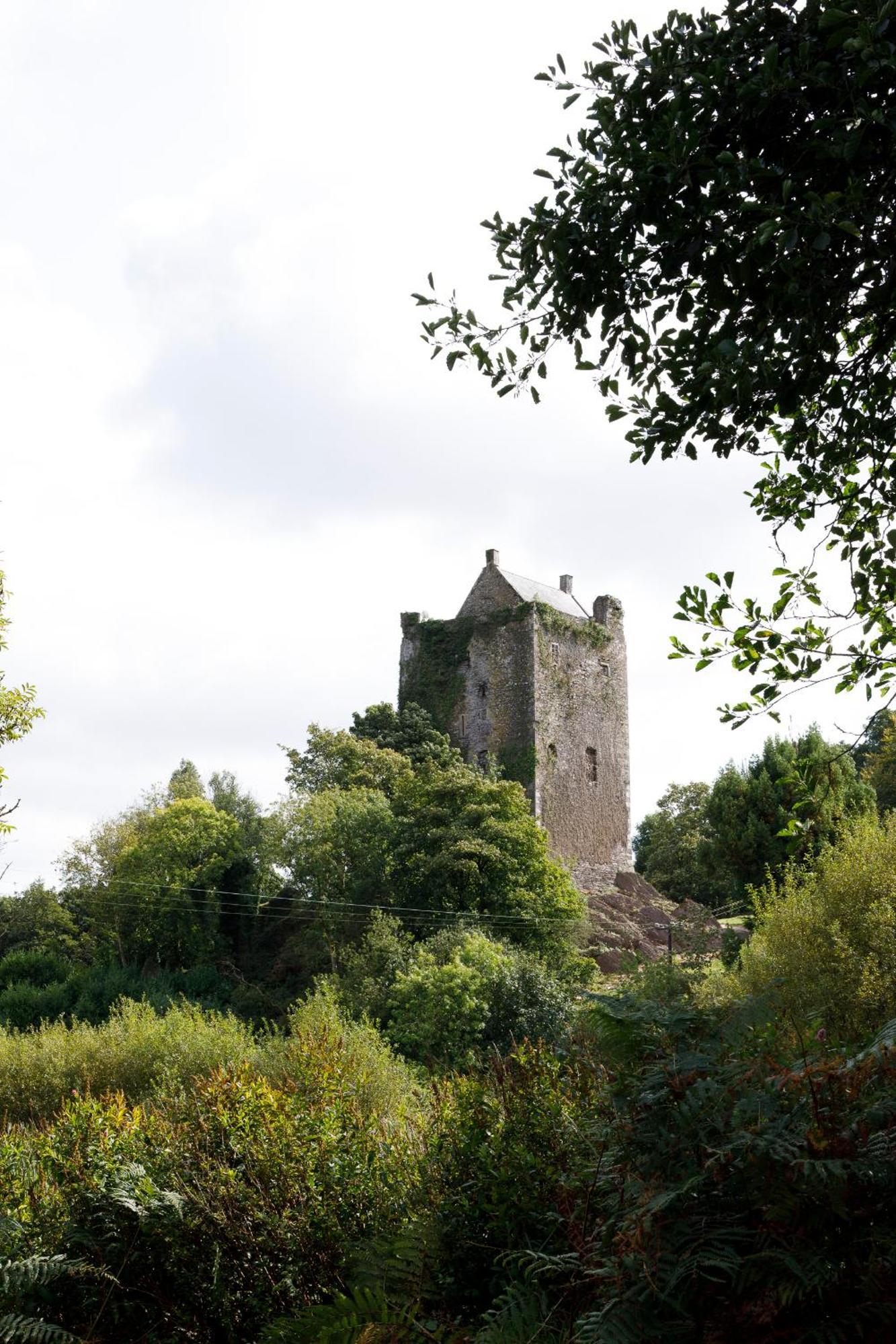 コーク Dripsey Castle Estateヴィラ エクステリア 写真