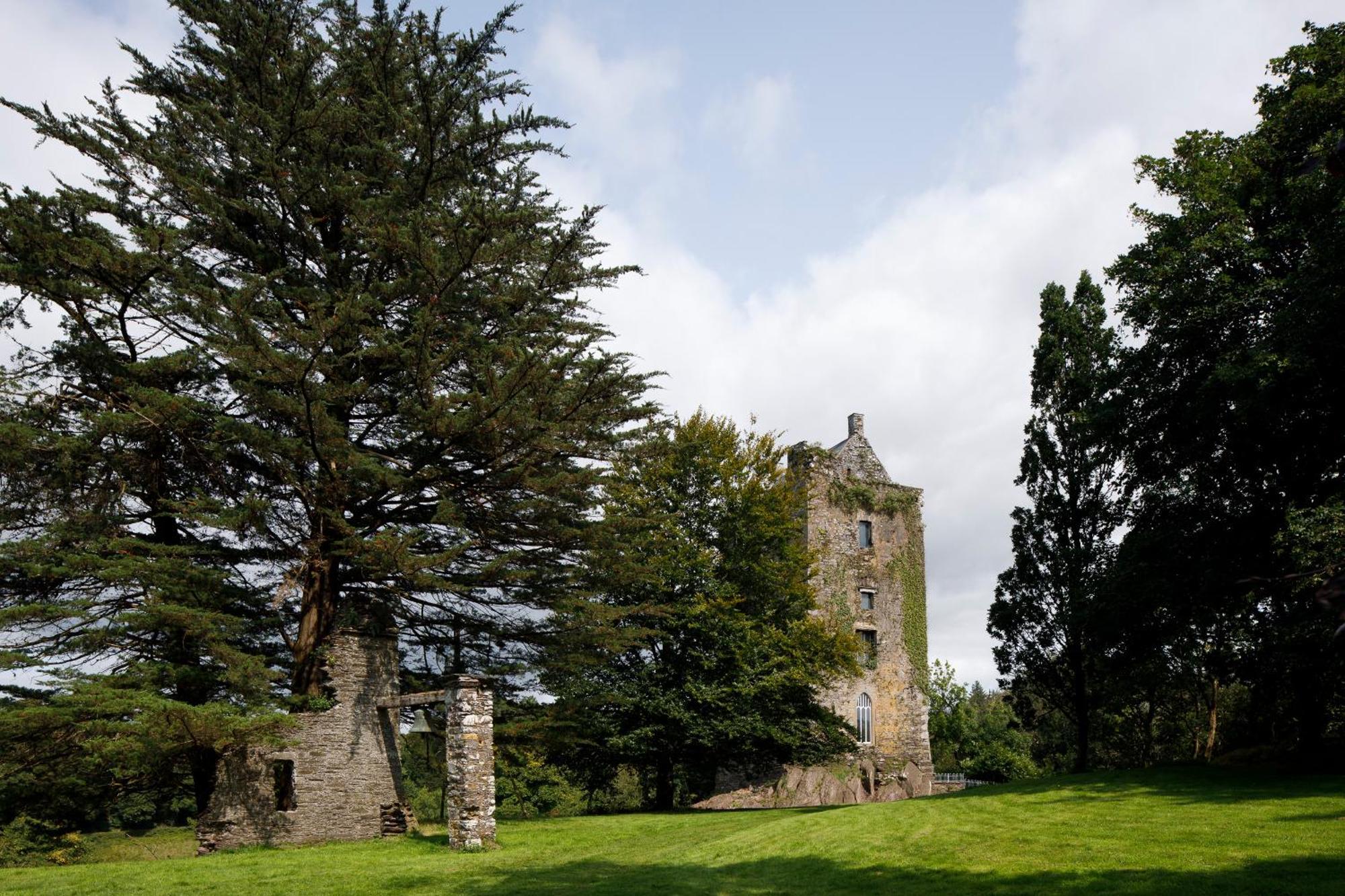 コーク Dripsey Castle Estateヴィラ エクステリア 写真