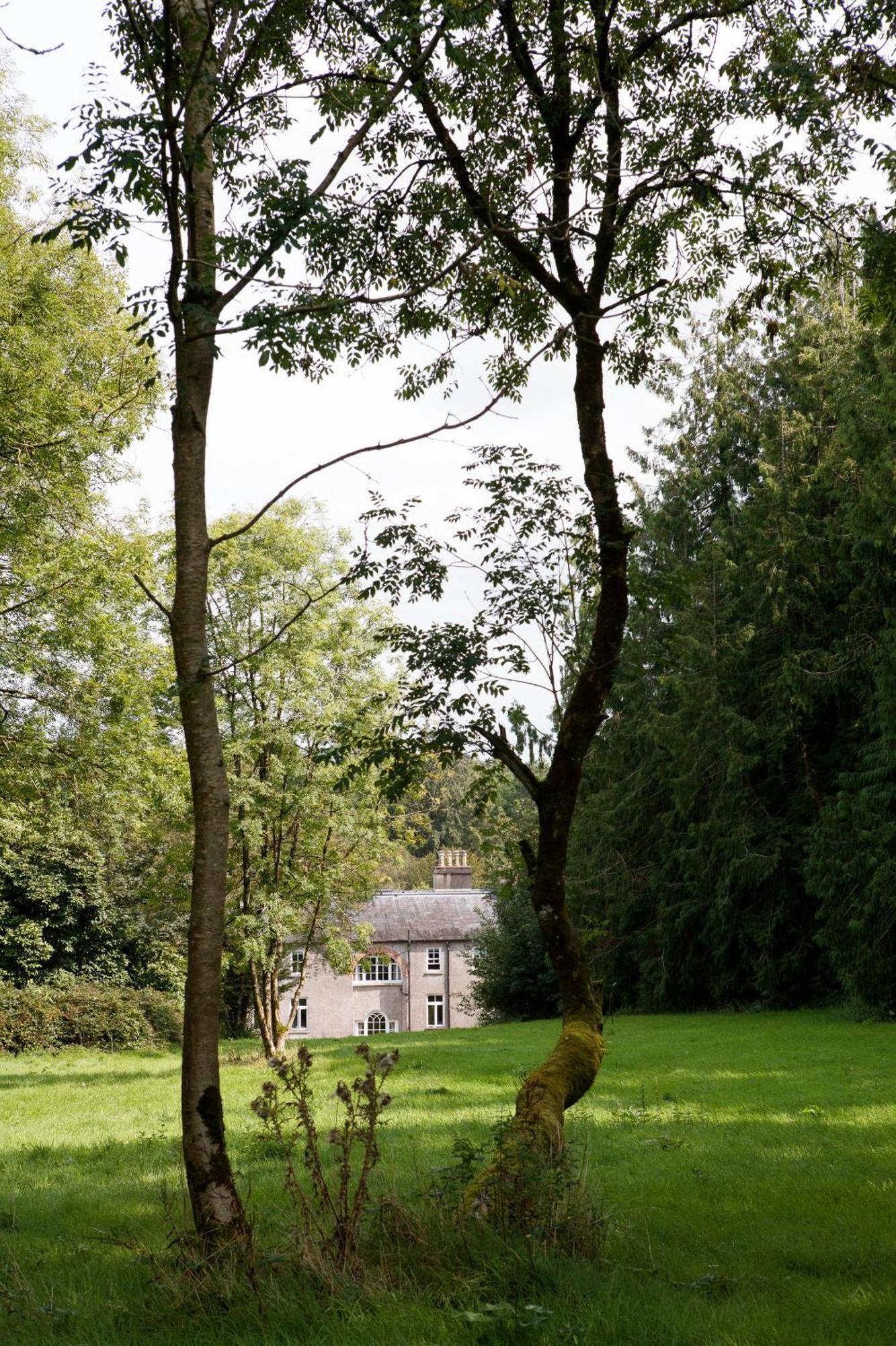 コーク Dripsey Castle Estateヴィラ エクステリア 写真