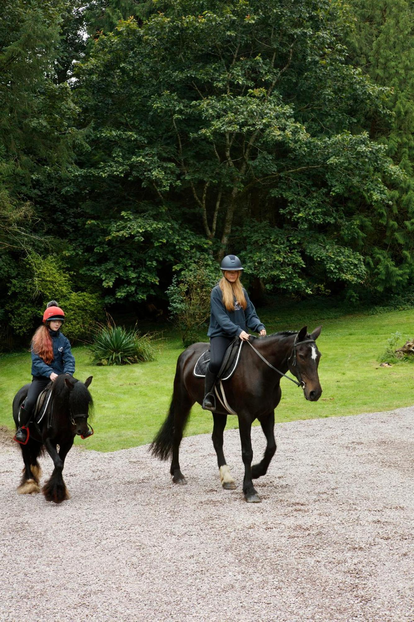 コーク Dripsey Castle Estateヴィラ エクステリア 写真