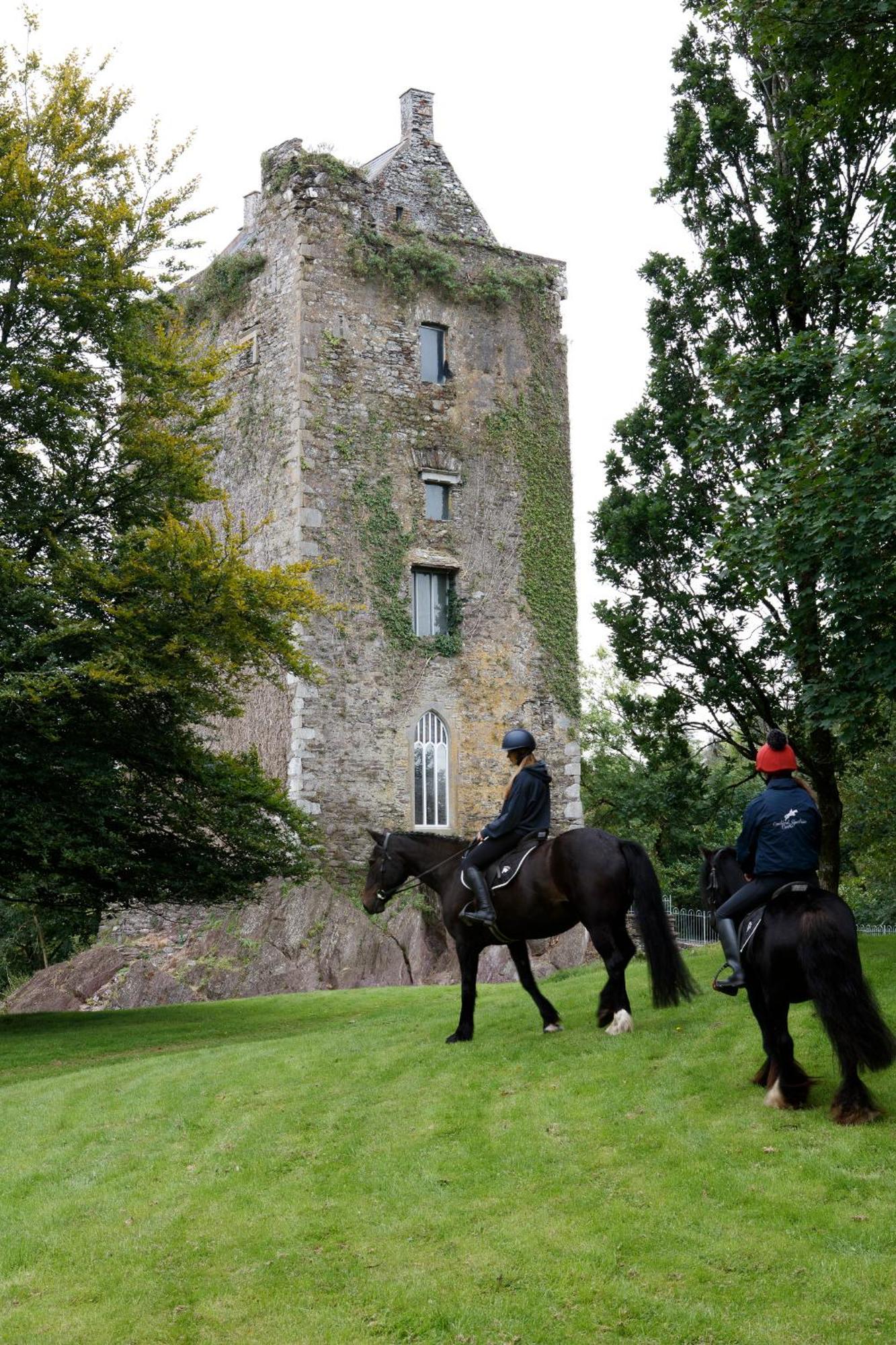 コーク Dripsey Castle Estateヴィラ エクステリア 写真