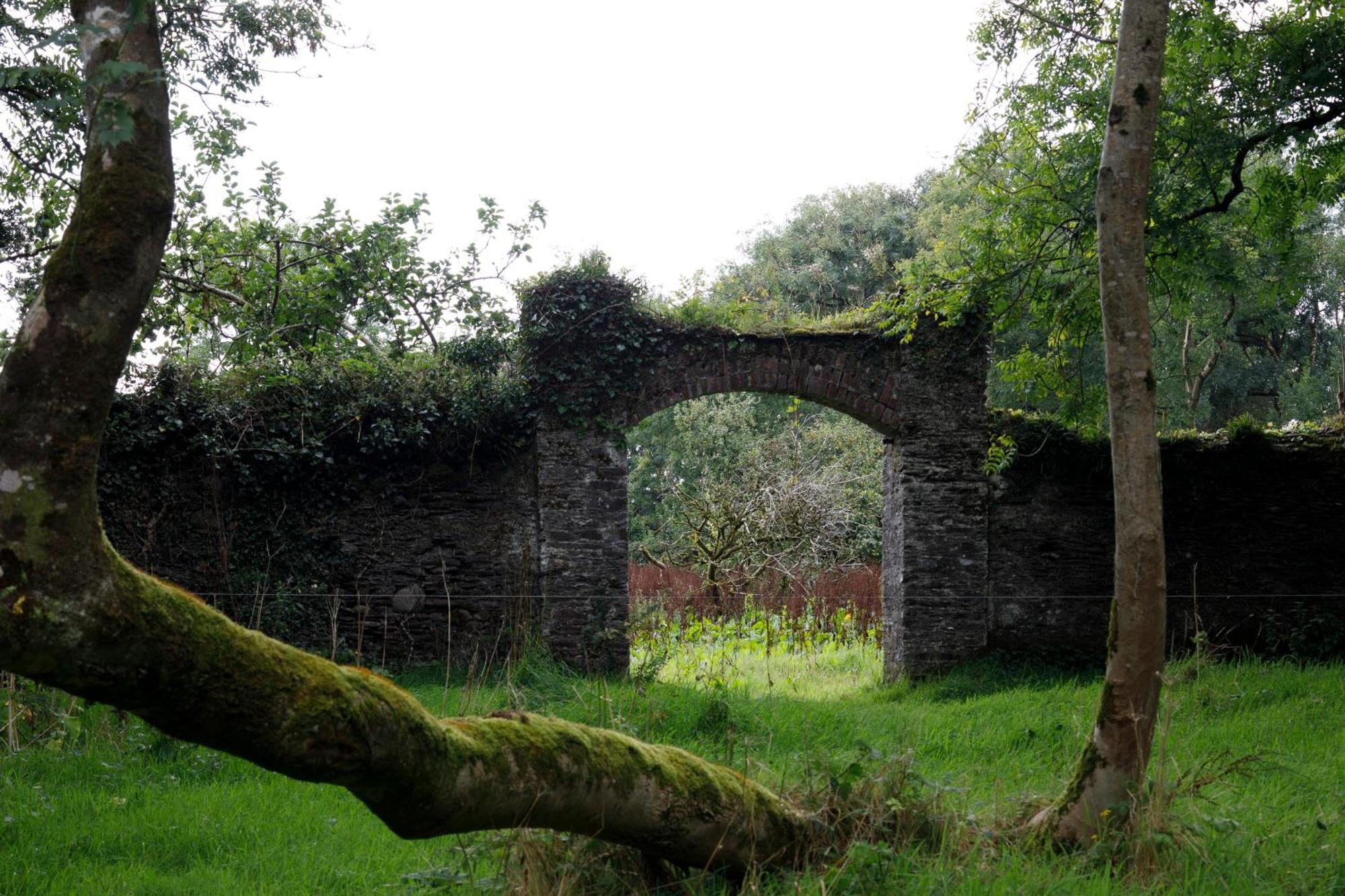コーク Dripsey Castle Estateヴィラ エクステリア 写真