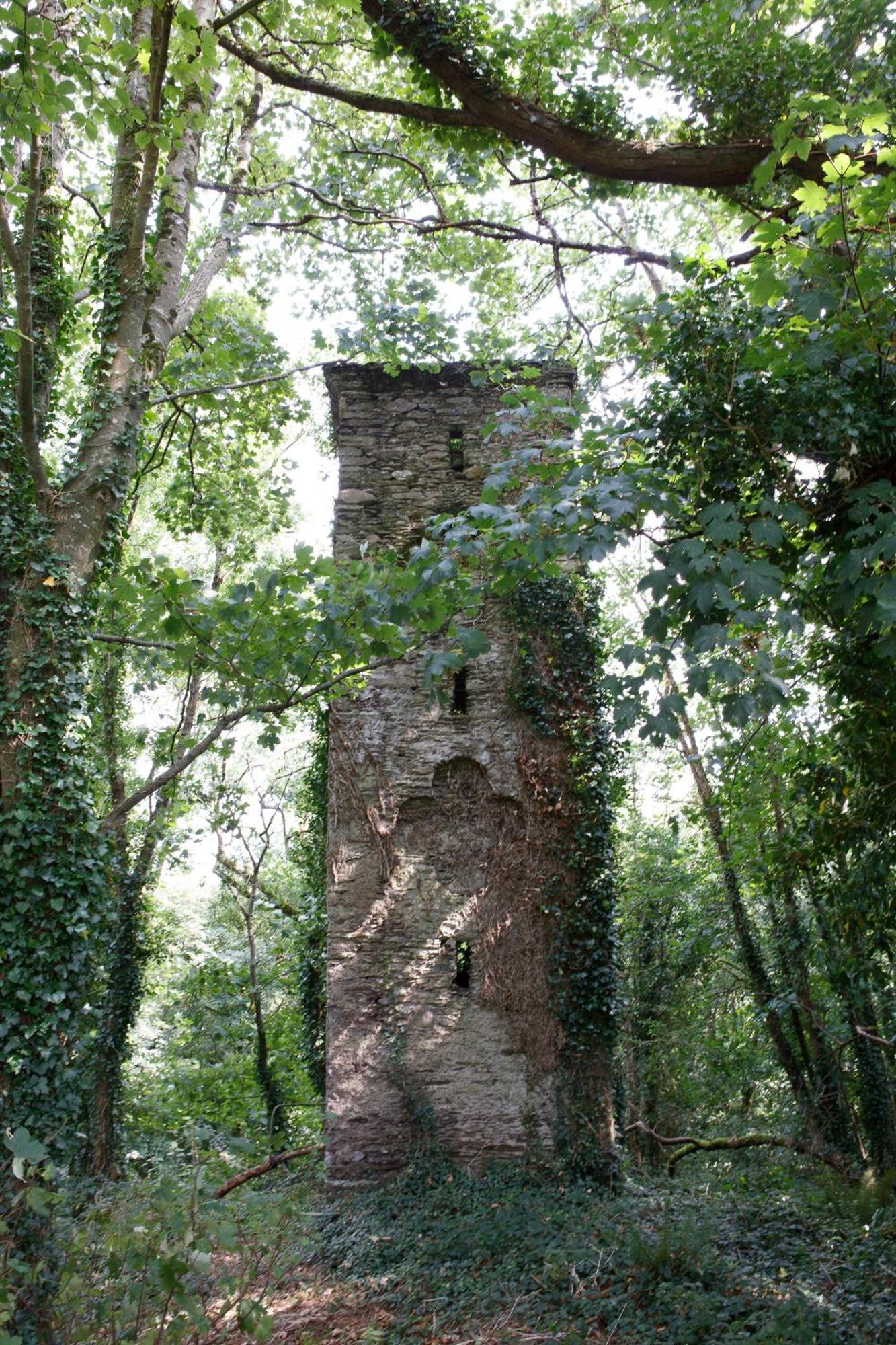 コーク Dripsey Castle Estateヴィラ エクステリア 写真
