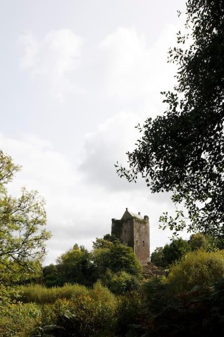 コーク Dripsey Castle Estateヴィラ エクステリア 写真