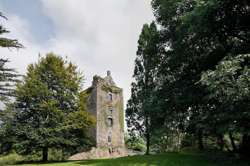 コーク Dripsey Castle Estateヴィラ エクステリア 写真